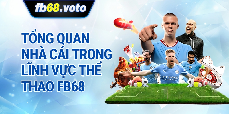 Tổng Quan Nhà Cái Trong Lĩnh Vực Thể Thao Fb68