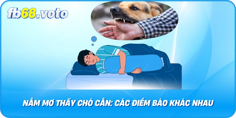 Nằm Mơ Thấy Chó Cắn: Các Điềm Báo Khác Nhau