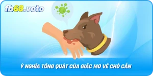 Ý Nghĩa Tổng Quát của Giấc Mơ Về Chó Cắn 